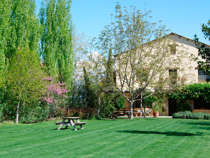 Jardí comunitari