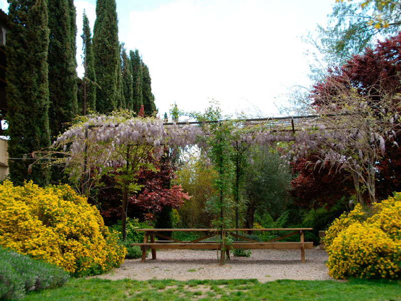 Jardí comunitari