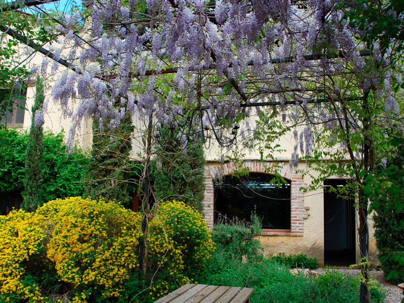 Jardí comunitari