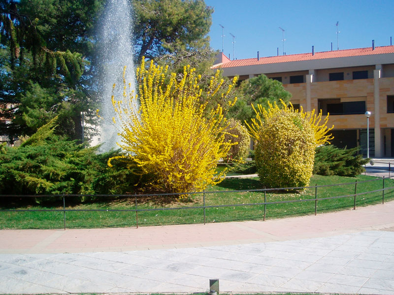Obra pública